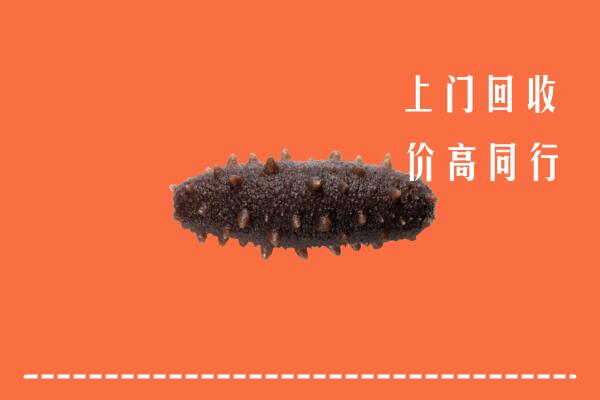 威县回收海参