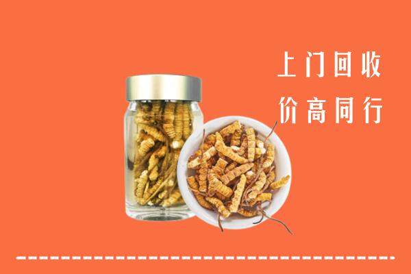 威县回收冬虫夏草