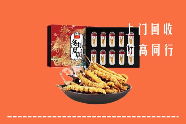 威县回收虫草